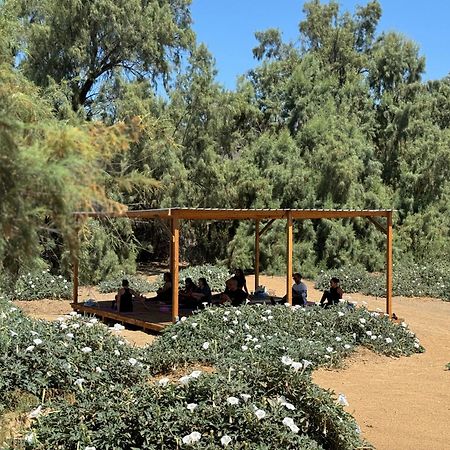 Rancho Dominique Valle de Guadalupe Villa Exterior foto