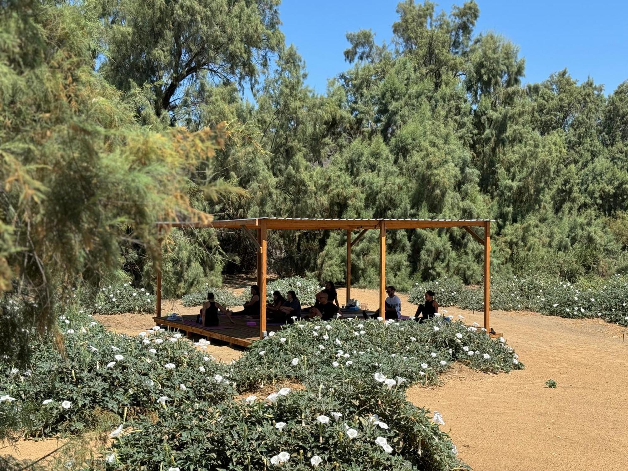 Rancho Dominique Valle de Guadalupe Villa Exterior foto