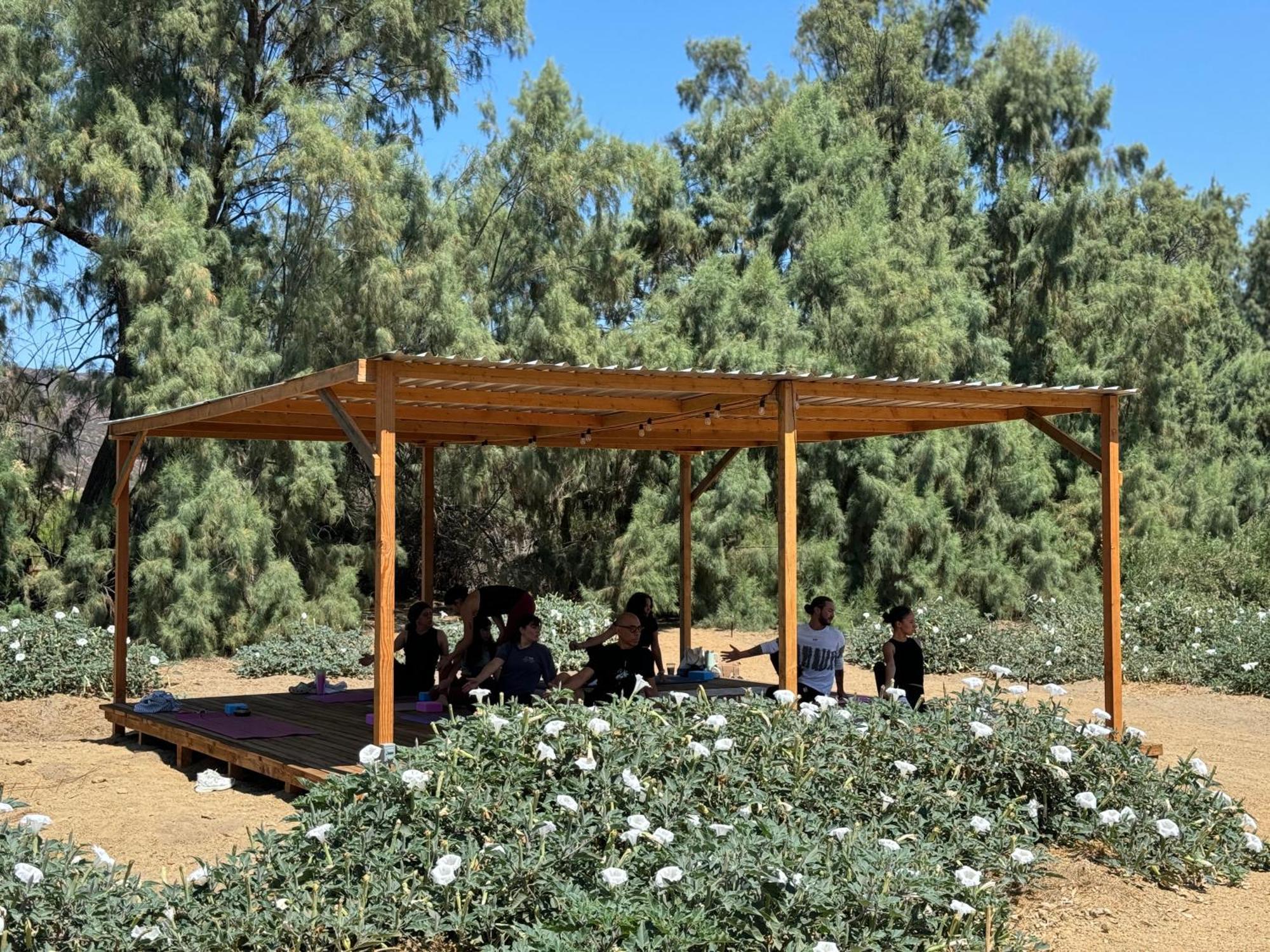 Rancho Dominique Valle de Guadalupe Villa Exterior foto